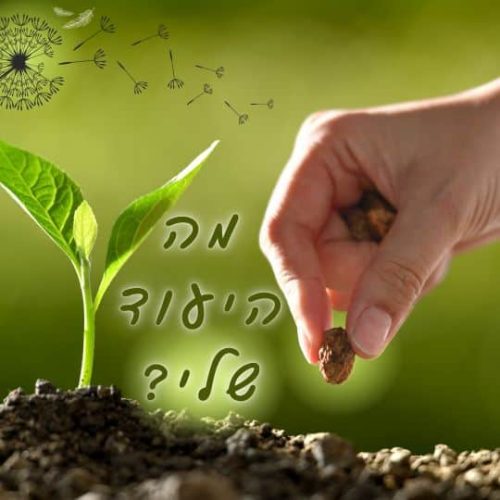 מה היעוד שלי?