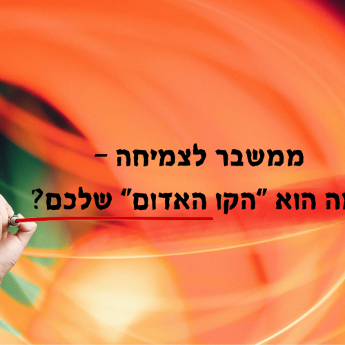ממשבר לצמיחה