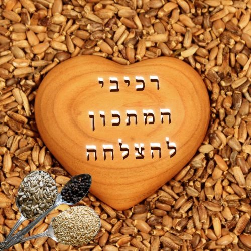 רכיבי המתכון להצלחה